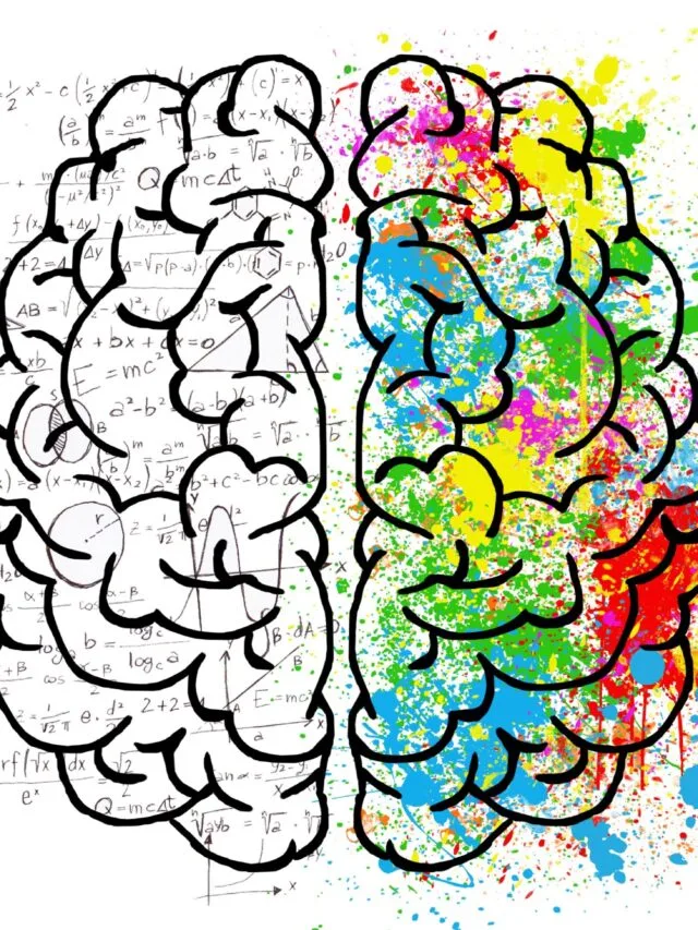 brain-mental-health-facts-myths-illness
