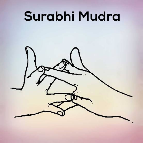 surabhi-mudra