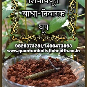 Shivavadhoot Badhanivarak Dhoop for Purification of Vaastu with Pure Herbs