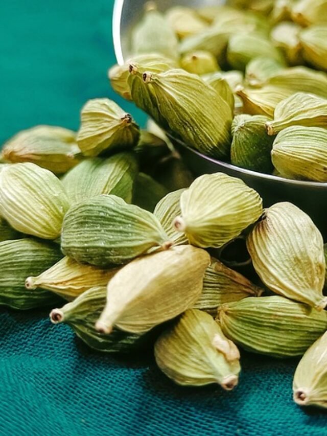 cardamom-6300029_640