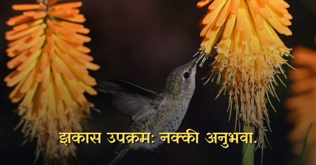 jhakas upakram nakki anubhava by dr. sunetra javkar