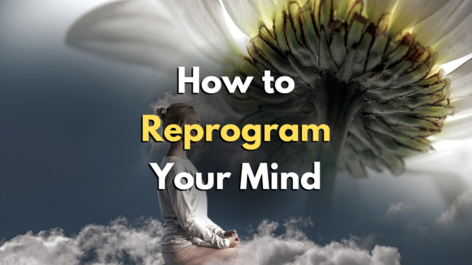 how to reprogram your mind
