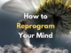 how to reprogram your mind