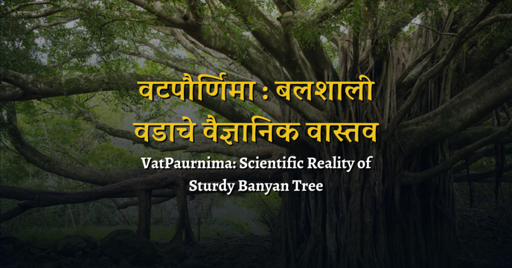 वटपौर्णिमा : बलशाली वडाचे वैज्ञानिक वास्तव | VatPaurnima: Scientific Reality of Sturdy Banyan Tree