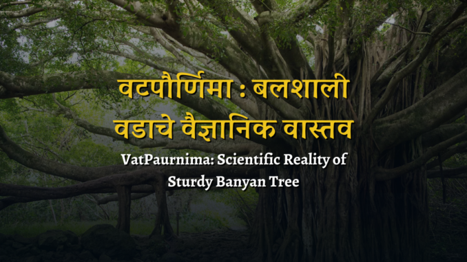 वटपौर्णिमा : बलशाली वडाचे वैज्ञानिक वास्तव | VatPaurnima: Scientific Reality of Sturdy Banyan Tree