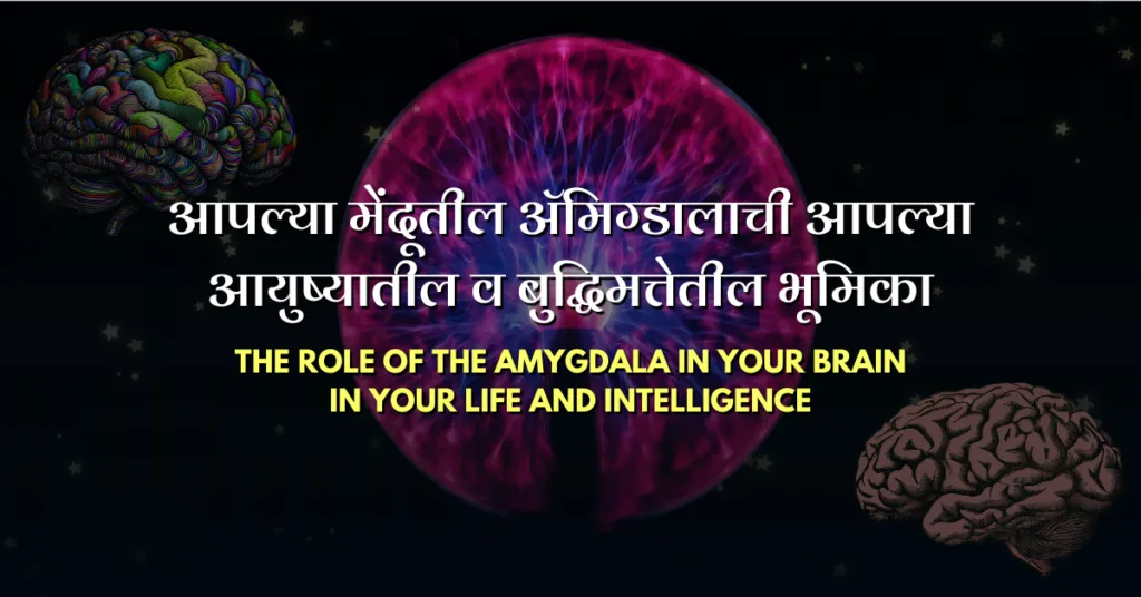 Amygdala Sunetra Dnyan Power Cover