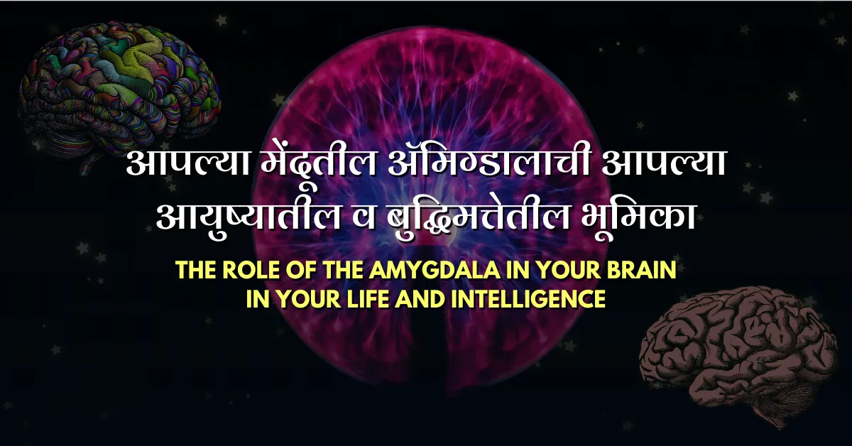 Amygdala Sunetra Dnyan Power Cover