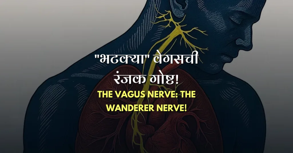 Dnyan Power Cover vagus nerve